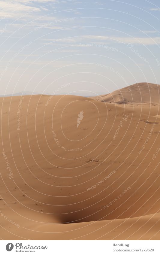 Sahara Loch Wärme Abenteuer trocken heiß Wüste Wasser Sand Düne Marokko Afrika Farbfoto mehrfarbig Außenaufnahme Menschenleer Tag Licht Schatten