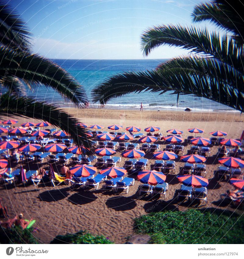 Aussicht ruhig Ferien & Urlaub & Reisen Tourismus Strand Meer Himmel Horizont Sommer Palme Ferne trist Sonnenschirm Quadrat Lanzarote Tourist Holiday leer