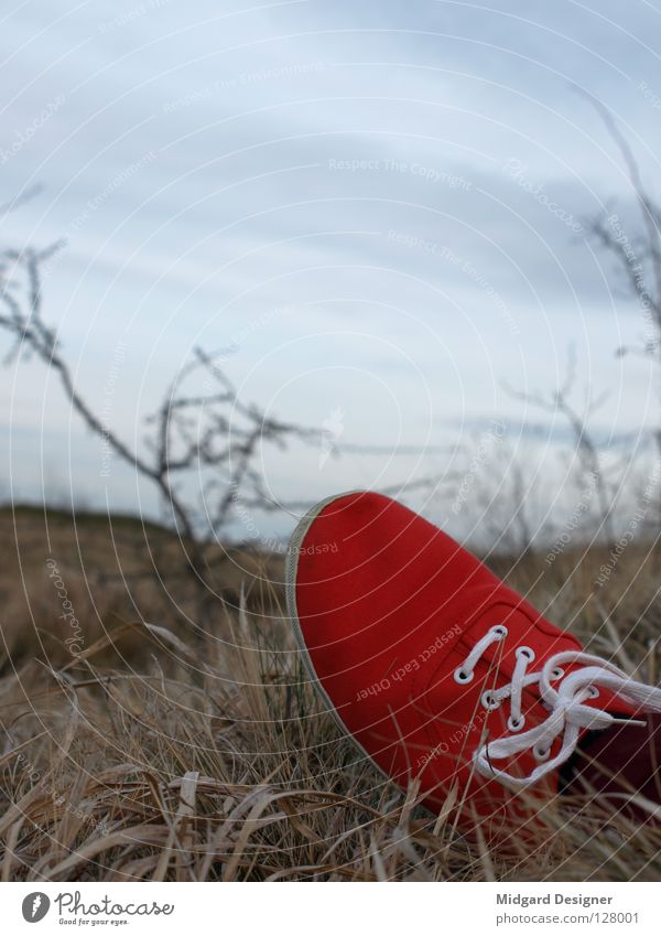 Rot im Gras 2 Winter Himmel Feld Schuhe liegen blau rot weiß verloren Menschenleer Turnschuh Pause Außenaufnahme Schuhbänder Textfreiraum oben