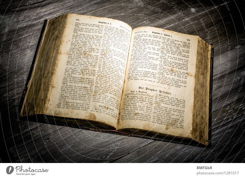 Das Buch der Bücher lesen Bildung Wissenschaften lernen Studium Prüfung & Examen Bibel Wahrheit Weisheit klug Glaube Religion & Glaube Nostalgie Schule Verfall