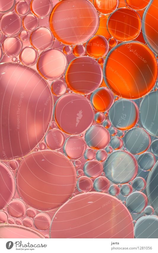 colour your life #6 Wasser Tropfen außergewöhnlich glänzend nass schön grau rosa rot Kreativität Blase Hintergrundbild Farbfoto mehrfarbig Experiment abstrakt