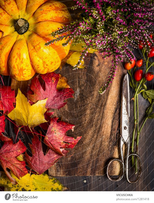 Herbst Dekoration mit Kürbis und Blätter machen Stil Design Leben Freizeit & Hobby Traumhaus Garten Dekoration & Verzierung Tisch Feste & Feiern Halloween Natur