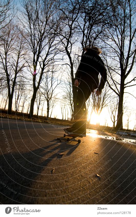 feierabend fahren Skateboarding Zufahrtsstraße Teer Sport Aktion Stil Jugendliche lässig Knie Baum Bewegung Zufriedenheit schwarz Sonnenuntergang gelb Physik