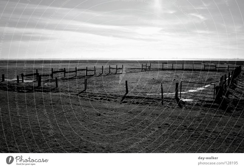 Der Mann aus Kentucky Feld Zaun Pferch Weide Wiese Pfütze Reflexion & Spiegelung Horizont Wolken Steppe Ranch Licht dunkel Cowboy Fressen Barriere