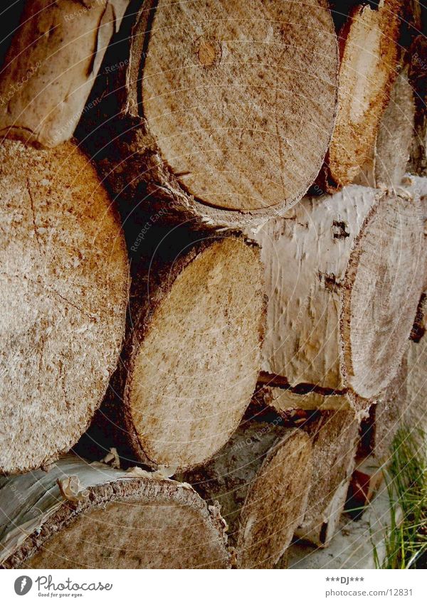 Holzstapel Säge fällen aufeinander verarbeiten stapeln