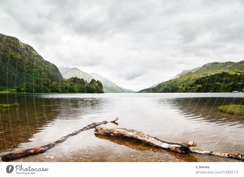 Loch Shiel in Glenfinnan Ferien & Urlaub & Reisen Tourismus Freiheit Berge u. Gebirge wandern Natur Landschaft Wasser Himmel Wolken Baum Hügel Seeufer Bucht