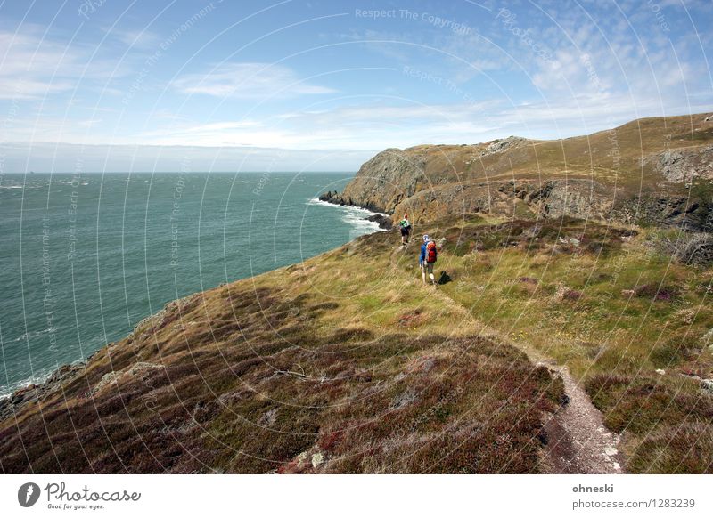 Walking wandern Mann Erwachsene 2 Mensch Landschaft Urelemente Schönes Wetter Felsen Küste Meer Anglesey Wales Wege & Pfade Ferne Zukunft Farbfoto Außenaufnahme