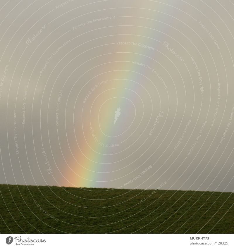 Ob der Goldschatz wirklich nur gleich hinter der Kuppe liegt??? Regenbogen Prisma Lichtbrechung Bruch regenbogenfarben Hügel Regenwolken dunkel grau grün Himmel