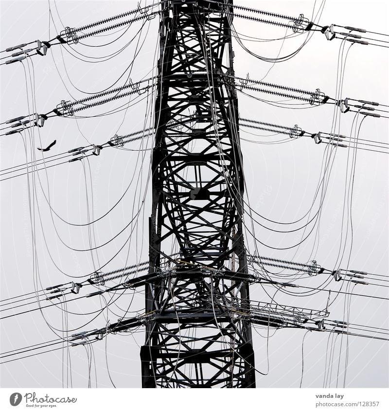 Kabelsalat Strommast elektronisch Elektrizität grau Draht Eisen Umwelt Kraft Stromausfall Bewusstseinsstörung Hochspannungsleitung Konstruktion Landweg Stahl