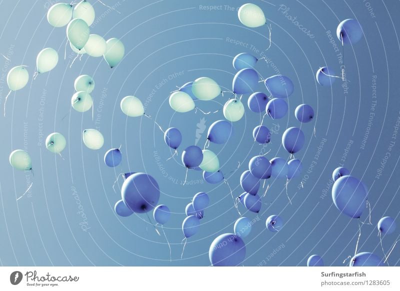 Luftballons steigen in den Himmel Veranstaltung Feste & Feiern Hochzeit Geburtstag Show Party Sonnenlicht fliegen Unendlichkeit blau Stimmung Freude Glück