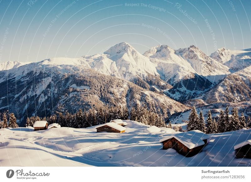Verschneite Bergwelt Ferien & Urlaub & Reisen Tourismus Ausflug Winter Schnee Winterurlaub Berge u. Gebirge Natur Landschaft Alpen Gipfel Schneebedeckte Gipfel