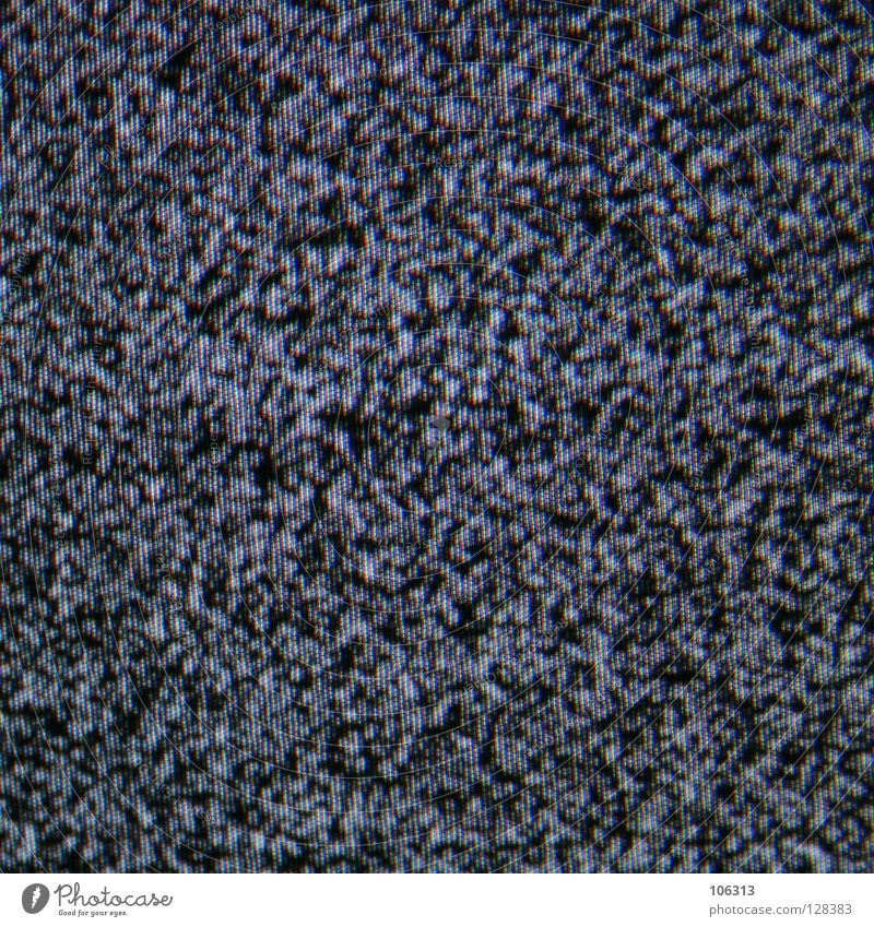 SLEEPERS schlafen weiß grau schwarz krieseln Ameise ausschalten Sturm Ameisenhügel krabbeln glänzend Fernseher Testbild Bildschirm stagnierend fremd Ferne