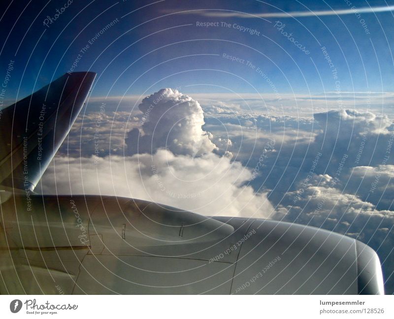 Escape Flugzeug Wolken Ferien & Urlaub & Reisen Triebwerke unterwegs Luft Himmel Luftverkehr frei Freiheit Flügel Niveau