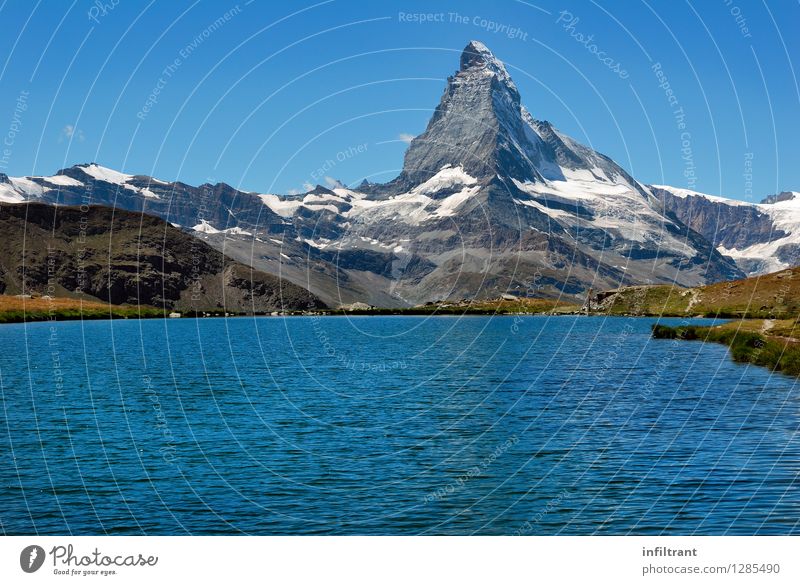 Baden mit Aussicht auf das Matterhorn Sommerurlaub Sonne Berge u. Gebirge wandern Natur Landschaft Wasser Wolkenloser Himmel Schönes Wetter Alpen Gipfel