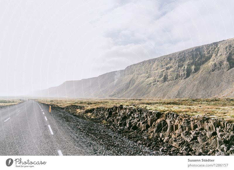 long distance Natur Einsamkeit Menschenleer Island Felsen Moosteppich Straßengraben queerschnitt autofrei Außenaufnahme
