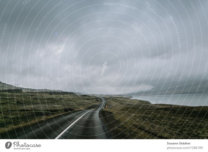 Iceland Landschaft Wolken Gewitterwolken Horizont Herbst Bucht Fjord dunkel natürlich Island Straße Wege & Pfade Moos Moosteppich wolkenverhangen Strommast