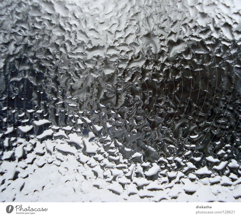 beschlagen² Fenster Wasserdampf kondensieren Kondenswasser durcheinander hauchen Atem kalt Physik Durchblick Haus Herbst Winter schlechtes Wetter Wellen