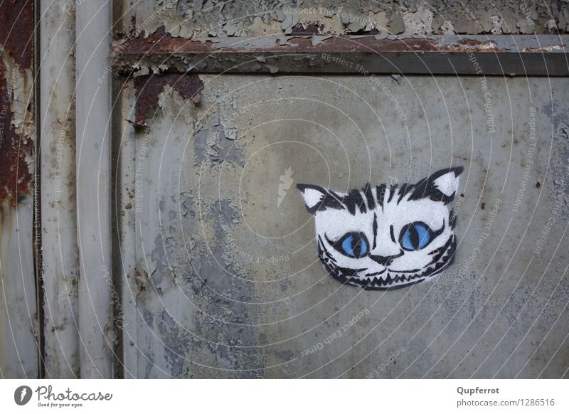 Böses Kätzchen Kunst Graffiti Menschenleer Fabrik Gebäude Tür schwarzhaarig Katze Stahl Rost Aggression bedrohlich dunkel trashig Stadt wild Wut blau weiß böse