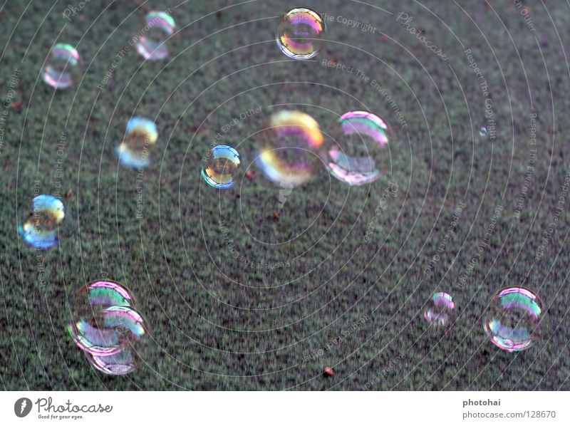 Experiment Seifenblase(n) 3 Freude Teile u. Stücke Kugel blasen Seifenblase(n) Experiment nicht nur was für Kinder auch für Erwachsene