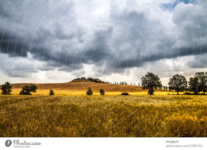 regnerisch Allergie Ferien & Urlaub & Reisen Ferne Sommerurlaub Natur Landschaft Himmel Wolken Gewitterwolken Horizont Herbst Klima Klimawandel Wetter