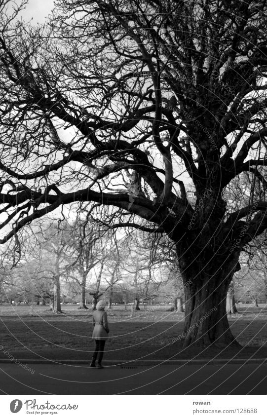 mädchen und baum Baum Frau Park Winter klein Geäst Aufenthalt Schwarzweißfoto Spaziergang Leben ruhig Zweig Baumstamm staunen Natur