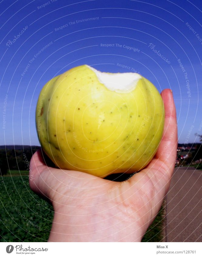 Big Apple Farbfoto Außenaufnahme Tag Frucht Apfel Ernährung Hand Himmel grün Apfelgrün Ernte beißen Essen
