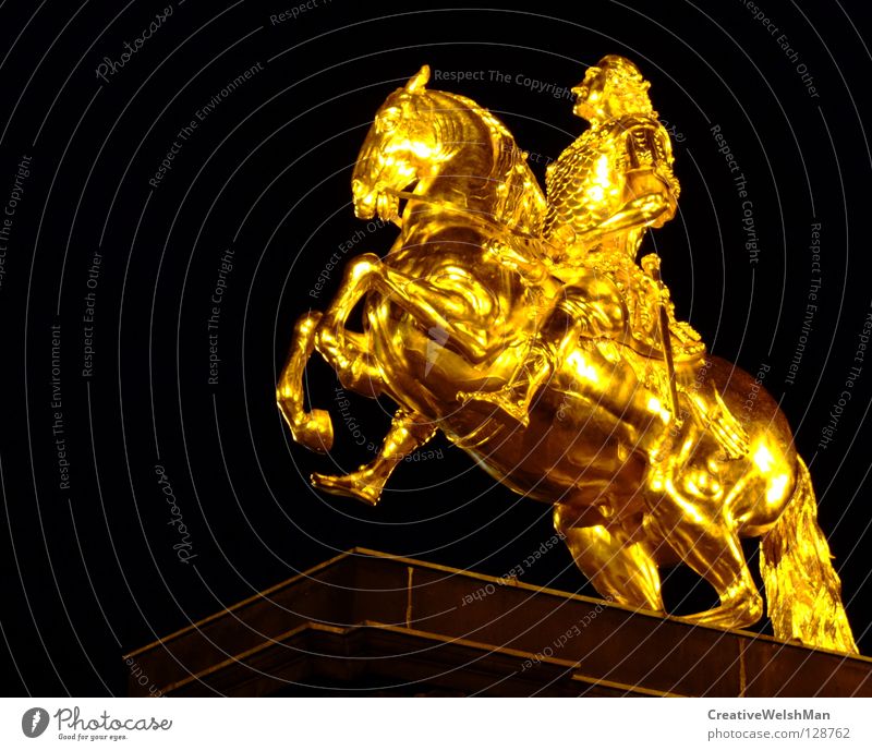 Starkes Goldstück Nacht dunkel kalt glänzend teuer feurig Pferd majestätisch Anmut schön Mut Denkmal solide standhaft wichtig Bekanntheit Dresden Deutschland