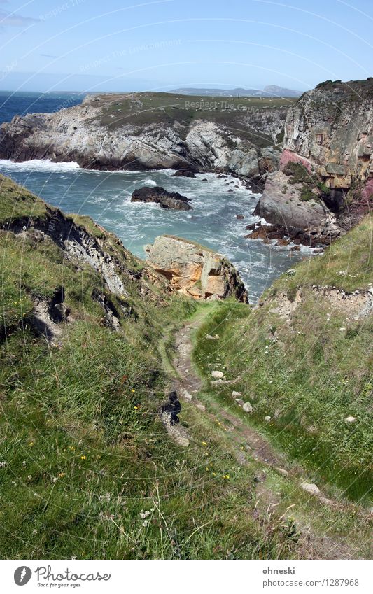 Coast Path wandern Landschaft Schönes Wetter Felsen Küste Bucht Meer Anglesey Wales Kraft Mut rein Wege & Pfade Ferne Brandung Farbfoto Außenaufnahme