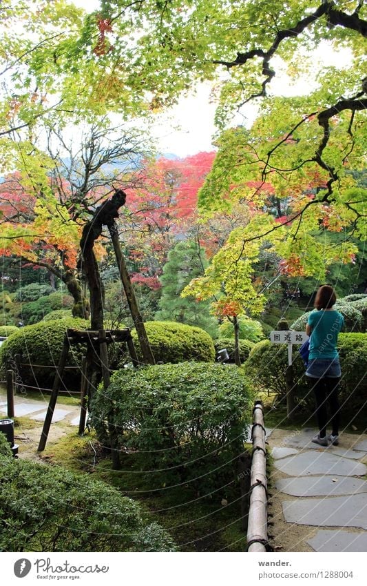 Japanischer Zen-Garten im Herbst, Nikko Ferien & Urlaub & Reisen Tourismus Ausflug Ferne Sightseeing Städtereise Mensch feminin Junge Frau Jugendliche 1