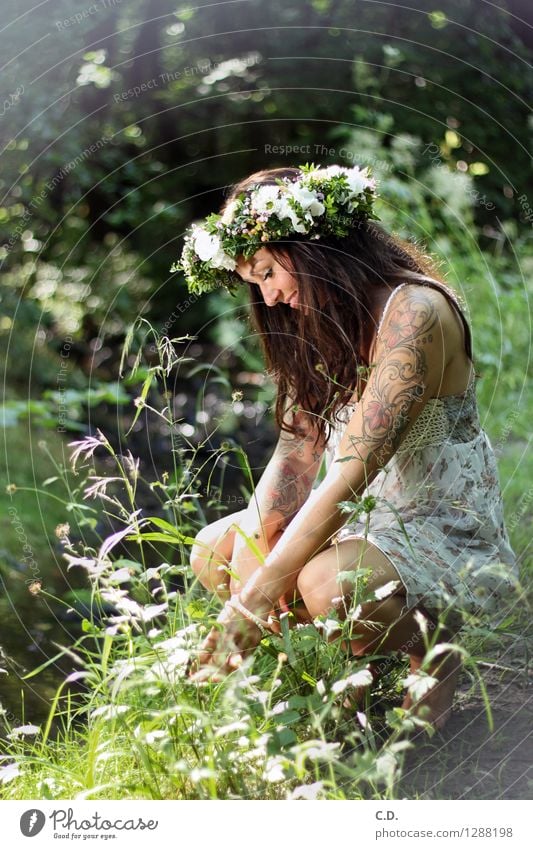 Waldfee Junge Frau Jugendliche 18-30 Jahre Erwachsene Umwelt Natur Gras Sträucher Kleid brünett langhaarig Freundlichkeit Fröhlichkeit schön positiv dünn grün