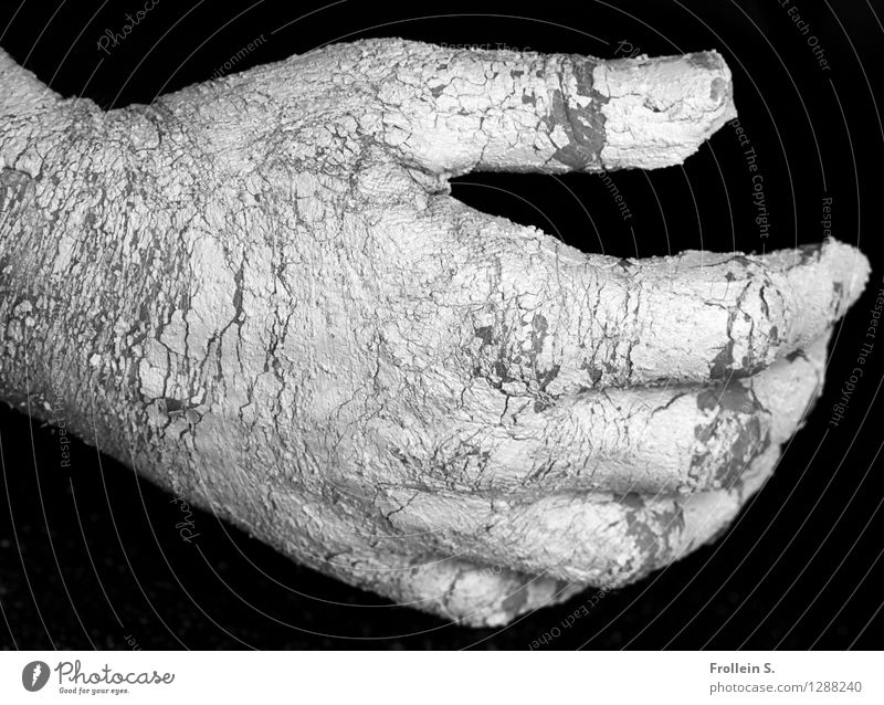 Geben und Nehmen Mensch maskulin Mann Erwachsene Haut Hand Finger 1 18-30 Jahre Jugendliche Lehm Riss Ton berühren Tatkraft Kraft geben nehmen haltend Haptik