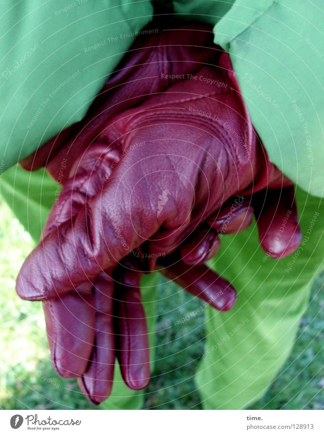 Kontrastmittel grün Aubergine rot Jacke Handschuhe gekreuzt rückwärts Hose Wiese Leder gefaltet Farbkombination Kunst Kunsthandwerk Detailaufnahme Bekleidung