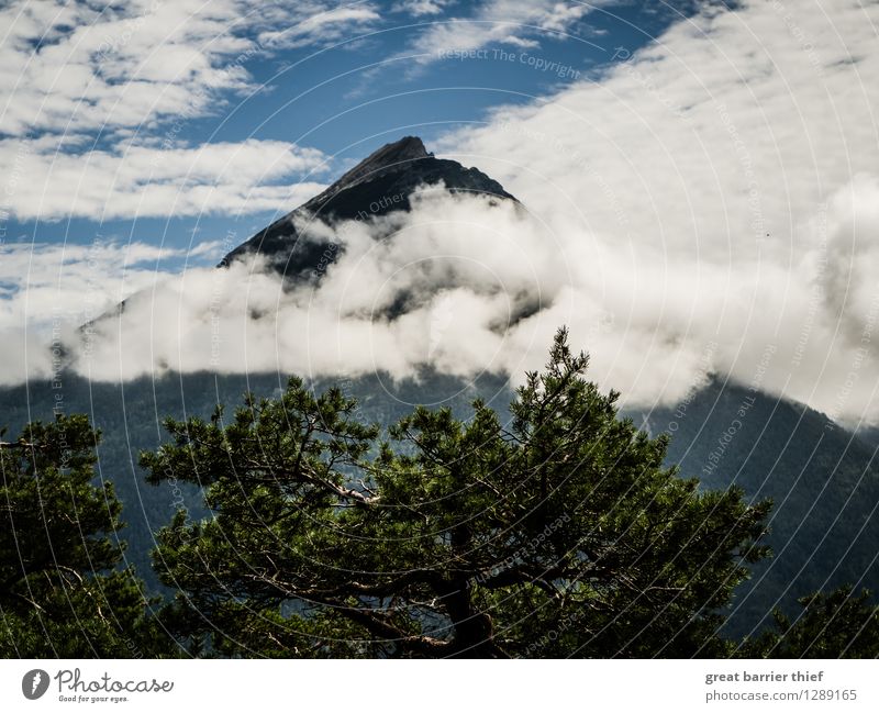 Wolkenverhangener Berg Umwelt Natur Landschaft Tier Luft Himmel Frühling Sommer Schönes Wetter Pflanze Baum Alpen Berge u. Gebirge Gipfel genießen blau