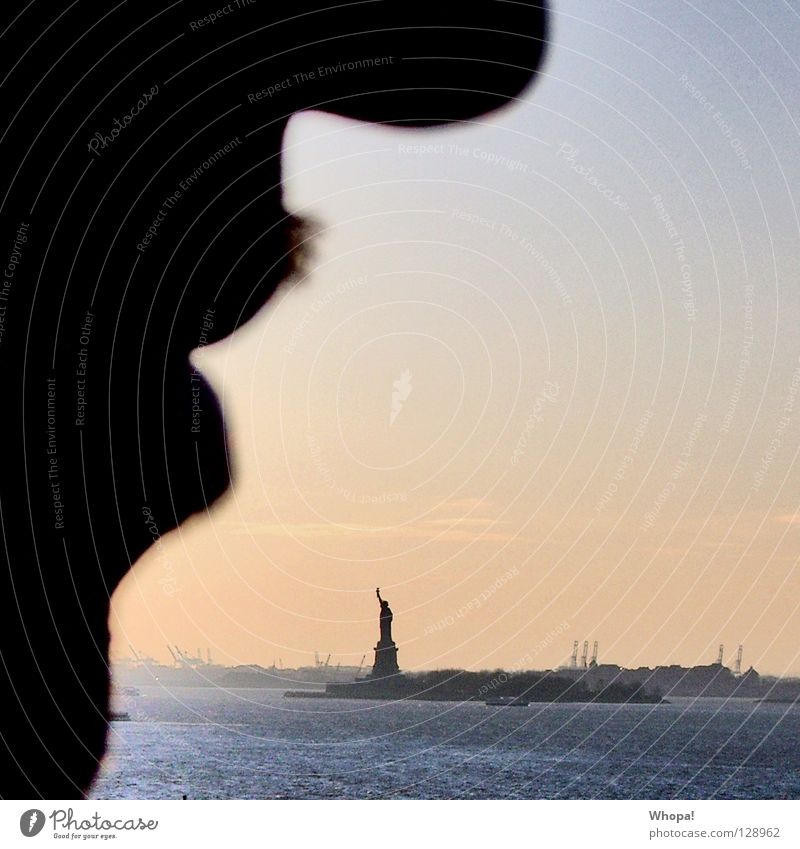Freiheitsprofil Silhouette Mann Bart New York City Sonnenuntergang Romantik Brooklyn Profil Schatten Nase Mund USA Liberty Wasser ... Freiheitsstatue