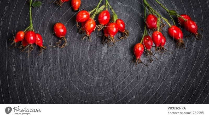 Hagebutten auf dunklem Hintergrund Lebensmittel Frucht Ernährung Tee Stil Design Gesundheit Alternativmedizin Gesunde Ernährung Sommer Garten
