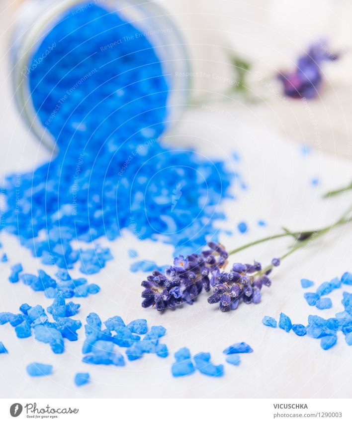 Blaues Badesalz mit Lavendel Stil Design schön Körperpflege Gesundheit Wellness Leben Wohlgefühl Erholung Duft Spa Haus Tisch Natur Blume aromatisch