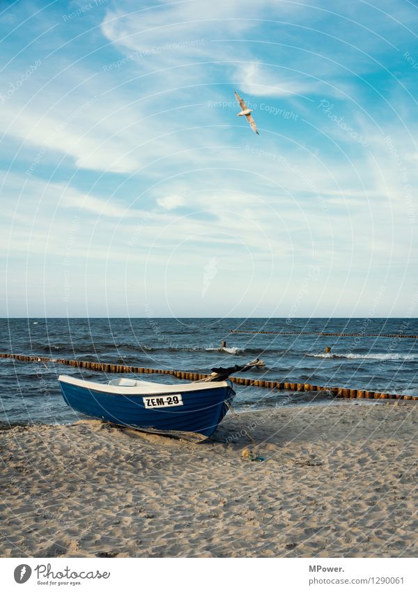 zempin Ferien & Urlaub & Reisen Strand Meer Umwelt Natur Landschaft Himmel Ostsee Wasserfahrzeug fliegen maritim blau Möwe Wellengang Farbfoto Außenaufnahme
