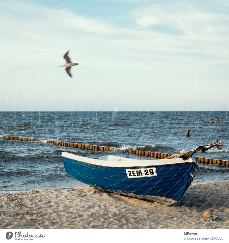 zempin Umwelt Landschaft Natur Meer Ostsee Ferien & Urlaub & Reisen Wasserfahrzeug Möwe Strand Himmel fliegen blau Wellengang Farbfoto Außenaufnahme Abend