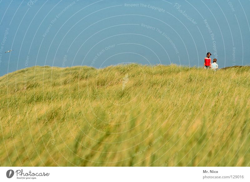 zwei kinder in den Dünen Niederlande Gras Ferien & Urlaub & Reisen Meer Sommer Panorama (Aussicht) Küste Mädchen Kind 2 klein groß blond dunkelhaarig rot