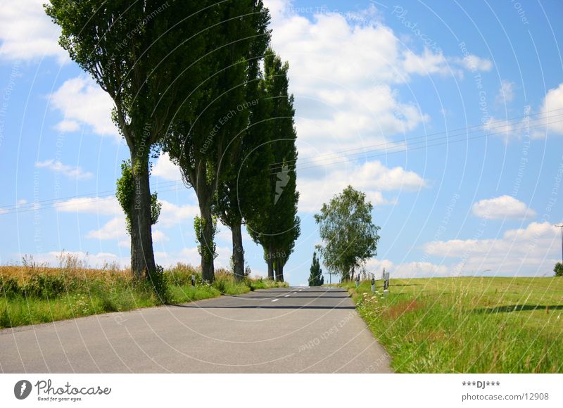 Die Strasse nach nirgendwo! Baum Feld Wiese Teer Wolken Sommer fahren Europa Straße Himmel Sonne Ausflug