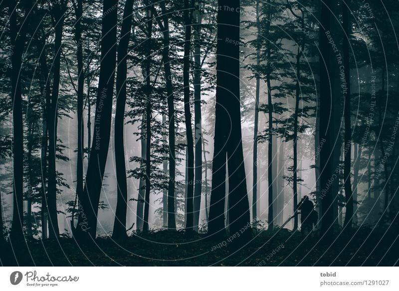 Jo im Wald 1 Mensch Natur Landschaft Pflanze schlechtes Wetter Nebel Baum beobachten dunkel klein Einsamkeit Freiheit Idylle Ferne Fotograf Fotografieren