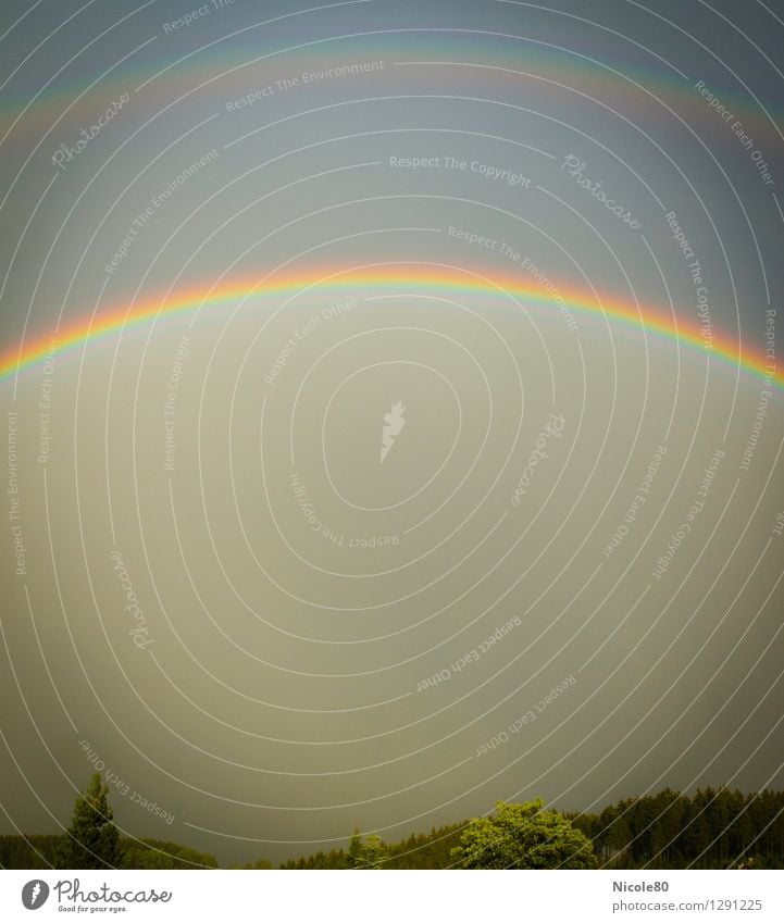 colors of the Rainbow Natur Sommer Klima Wetter Regen Glück Regenbogen Doppelbelichtung leuchten Farbspektrum Farbfoto Außenaufnahme Menschenleer