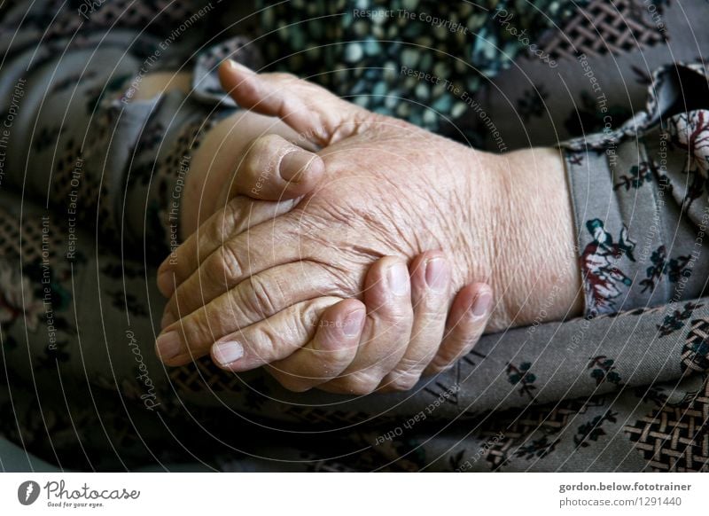 old hands Mensch feminin Frau Erwachsene Weiblicher Senior Großmutter Hand 1 60 und älter alt weich grau Treue Hilfsbereitschaft Verantwortung Verlässlichkeit