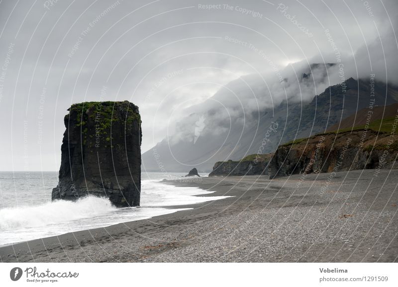 Basaltfelsen auf Island (Dalkur) Tourismus Ferne Umwelt Natur Luft Wasser Wolken schlechtes Wetter Nebel Wellen Küste Meer Menschenleer Ferien & Urlaub & Reisen