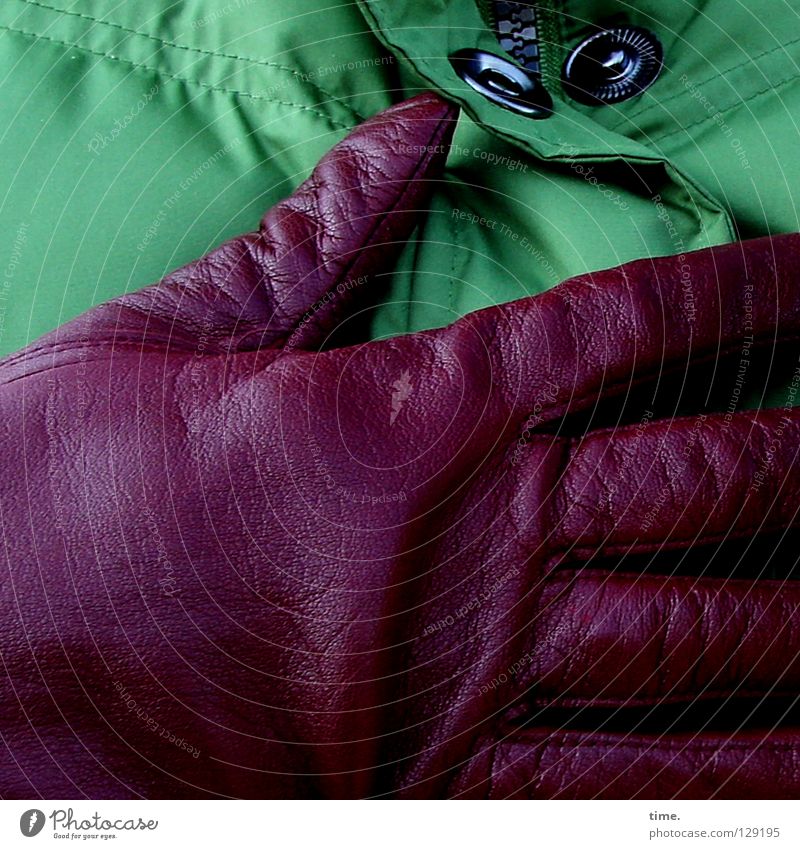 Kontrastmittel (II) grün Aubergine rot Jacke Handschuhe Leder Farbkombination bedecken Kunst Kunsthandwerk Detailaufnahme Bekleidung Fingerhandschuhe edel