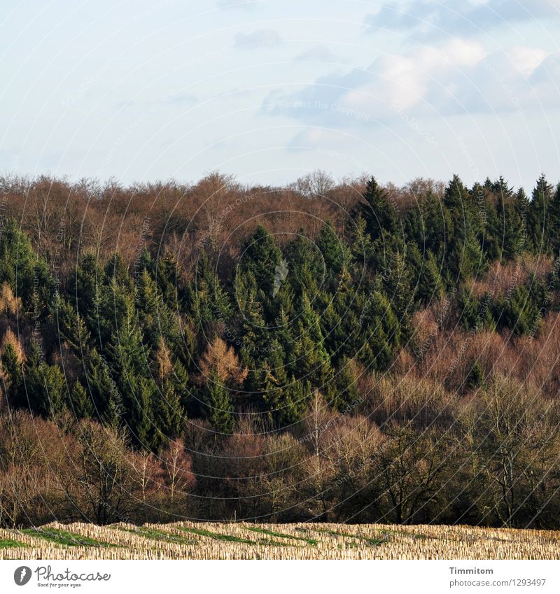 Kraichgau. Natur Landschaft Herbst Schönes Wetter Feld Wald natürlich blau braun grün weiß Risiko Hügel Stoppelfeld Idylle Farbfoto Außenaufnahme Menschenleer