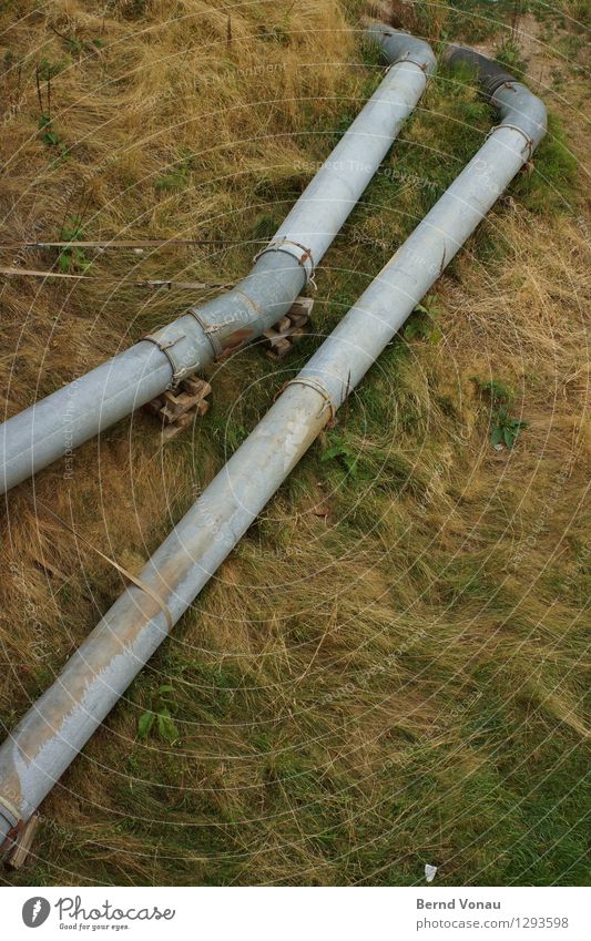 Oberleitung Gras trist Leitung Röhren Wasser entsorgen paarweise Umwelt Metall grau braun Umweltverschmutzung offen Umweg Durchbruch Baustelle Farbfoto