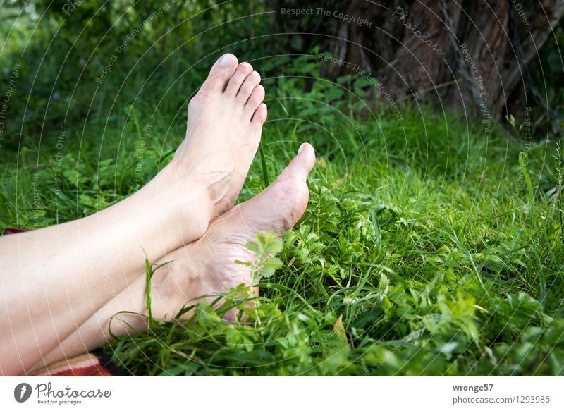 Auszeit feminin Frau Erwachsene Beine Fuß 1 Mensch 45-60 Jahre Erholung liegen nackt natürlich braun grün rosa ruhig Erschöpfung Pause ausruhend Zehen
