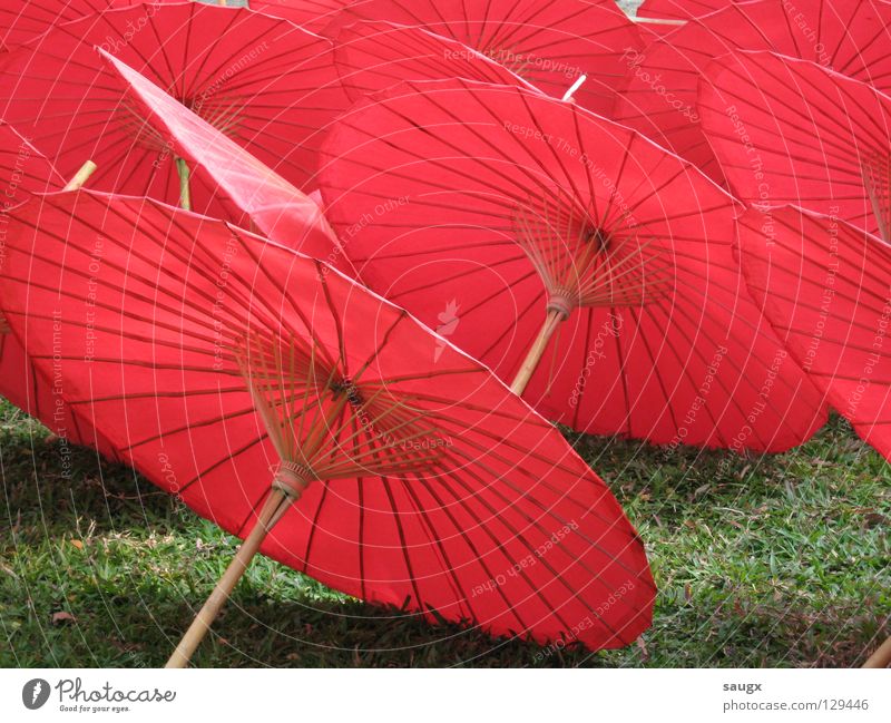 rote schirme Sonnenschirm Papier Asien Thailand Chiangmai Handwerk Ferien & Urlaub & Reisen Kunst Kunsthandwerk Farbe Sommer
