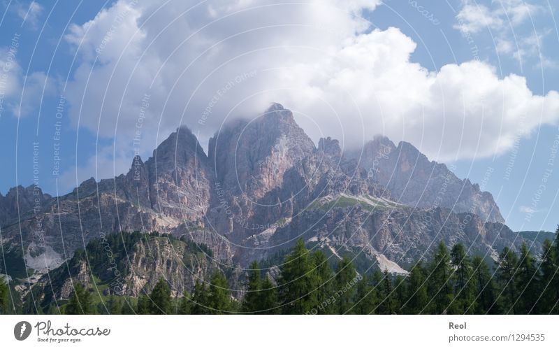 Monte Cristallo Ferien & Urlaub & Reisen Tourismus Umwelt Natur Landschaft Urelemente Erde Wolken Sommer Tanne Wald Felsen Alpen Berge u. Gebirge Dolomiten